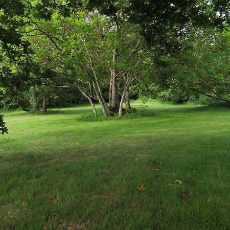 Au Chemin De Mazous Villa Laguian-Mazous Kültér fotó